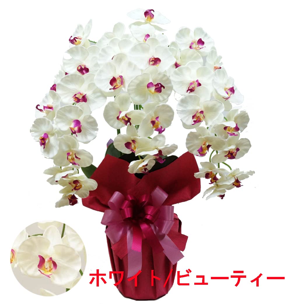 Amazon｜高級 胡蝶蘭3本立ち 光触媒 シルクフラワー 造花